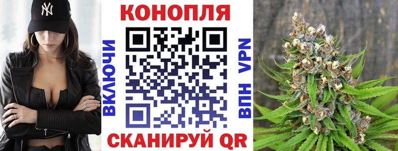 Купить где Каргополь Бошки марихуана планчик